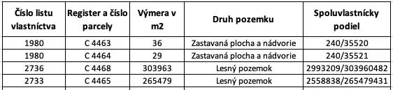 Table showing details of plots: area, type of plot, co-ownership share.