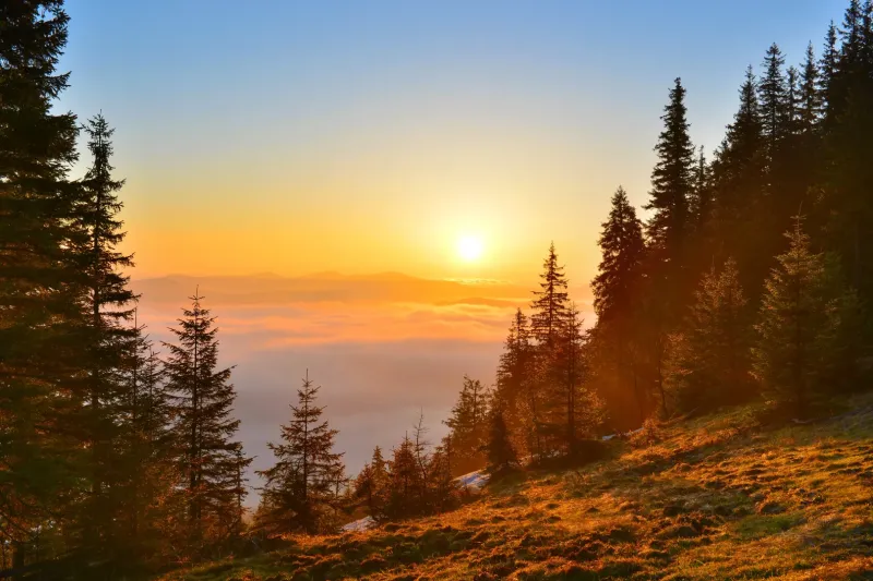 Sunset over the forest lands near Zábiedovo with a gentle mist among the trees.