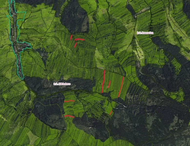 Aerial view of agricultural and forest lands around Zábiedovo.