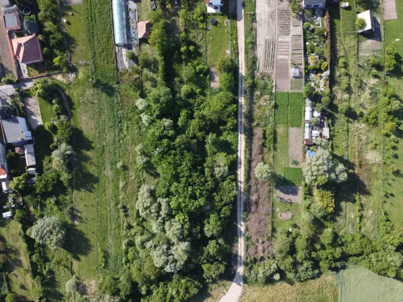 Aerial view of gardens in Branč with a road and trees.