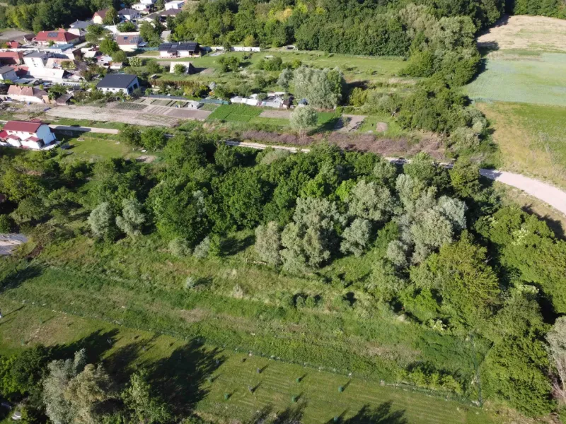 An aerial view of green gardens in Branč surrounded by trees and grassy areas.
