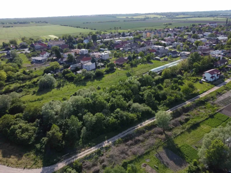 A view of green gardens and country houses in the village of Branč.