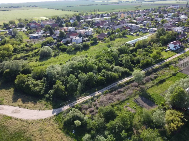 Aerial view of gardens in the village of Branč with scattered houses and dense greenery.