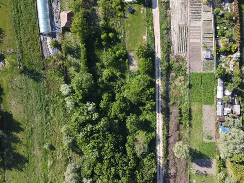 Aerial photograph of gardens with lush greenery in the town of Branč.