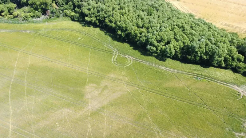 Agricultural and forest lands in Kozárovce, located next to a lush forest.