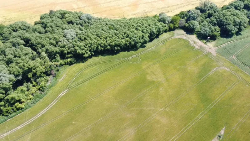 Agricultural and forest lands in Kozárovce with greenery and field roads.