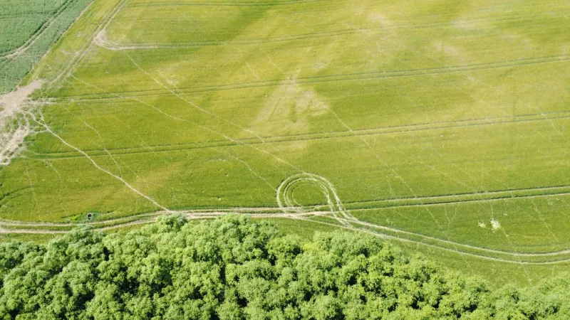 Agricultural and forest lands in Kozárovce with traces of machinery and green fields.