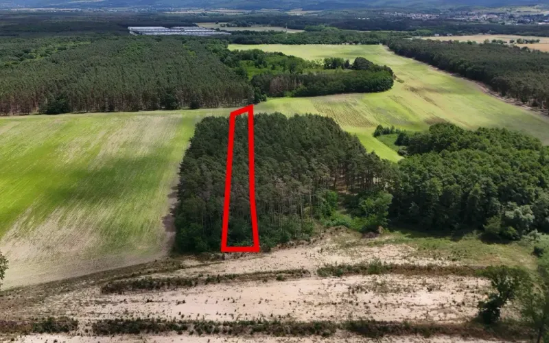 Aerial view of agricultural and forest land in Lozorno, surrounded by forests.