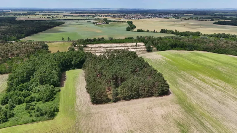 Aerial view of agricultural and forest lands around Lozorno with extensive forests.