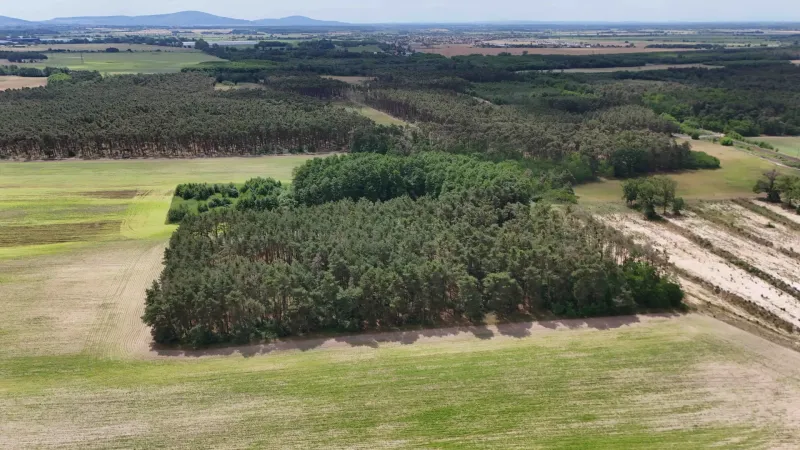 Agricultural and forest lands near Lozorno include a landscape with forests and fields.