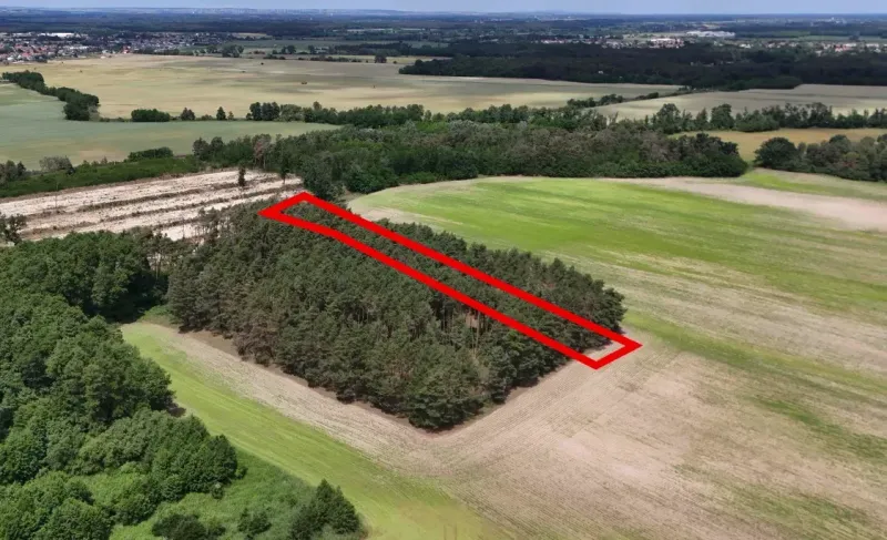 Agricultural and forest land in Lozorno with dense vegetation and forest stands.