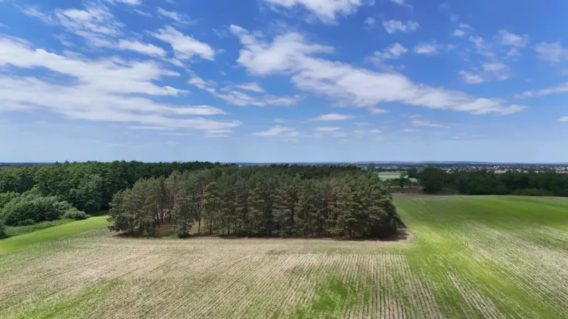 Agricultural and forest land in Lozorno with green fields and trees under a blue sky.