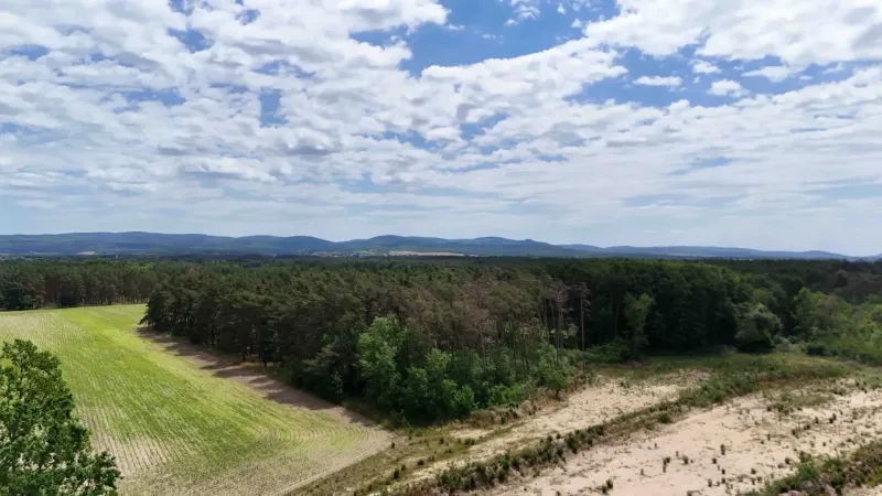Landscape in Lozorno: Agricultural and forest land with fields and forests under a cloudy sky.