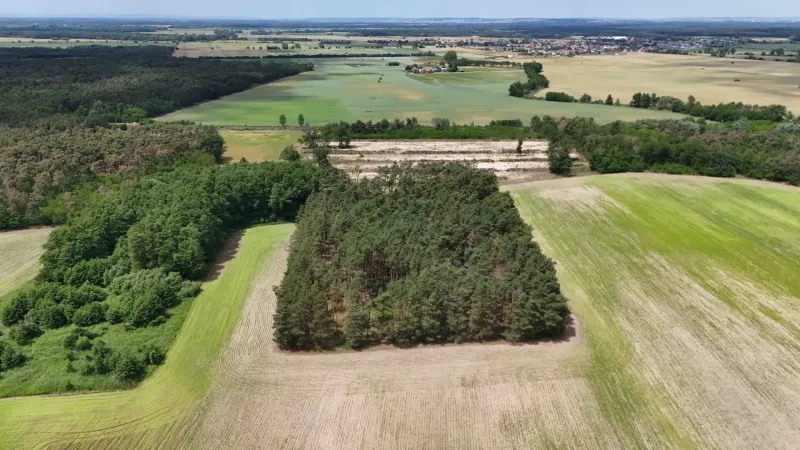 Greenery and fields on agricultural and forest lands near Lozorno create a natural scenery.