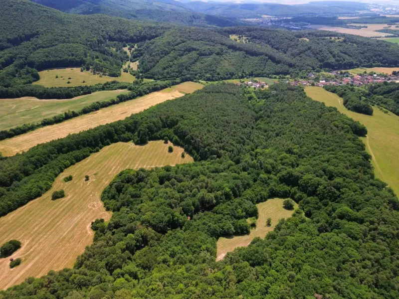 Aerial view of agricultural and forest lands in Žitná - Radiša, with forests and fields.