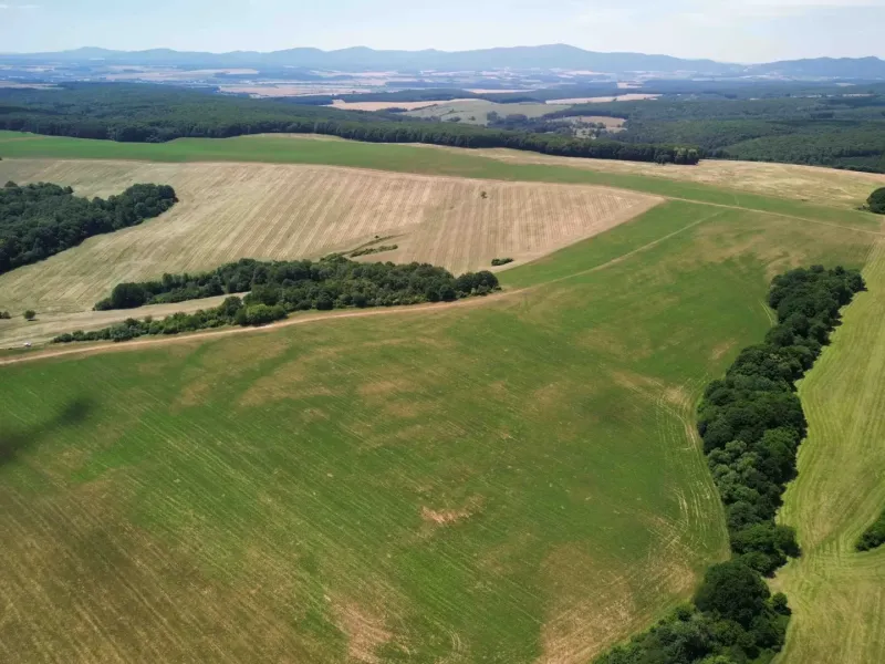 Agricultural and forest lands in Žitná - Radiša with yellow and green fields and forests.