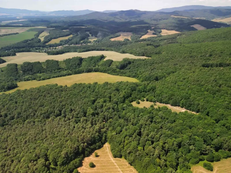 Aerial view of agricultural and forest land around Žitná - Radiša surrounded by forests and meadows.