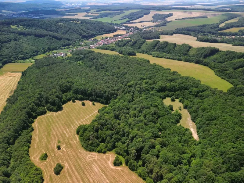 Aerial view of agricultural and forest lands in the village of Žitná - Radiša.