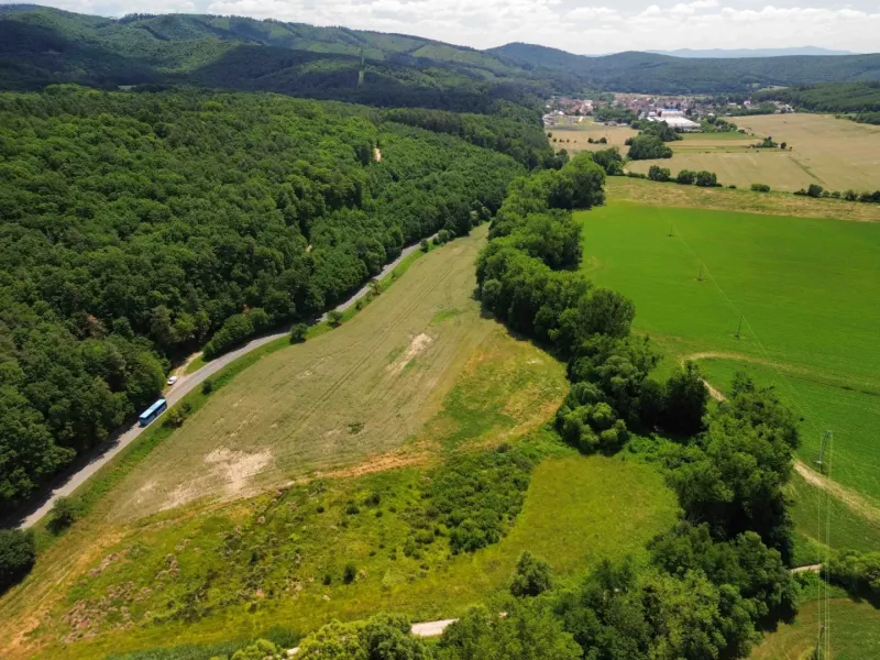 Aerial view of agricultural and forest land in Žitná - Radiša, surrounded by forests and a road.