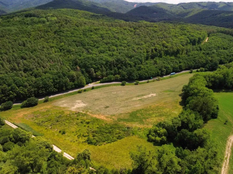 Agricultural and forest land in Žitná - Radiša with dense forest cover and a road.