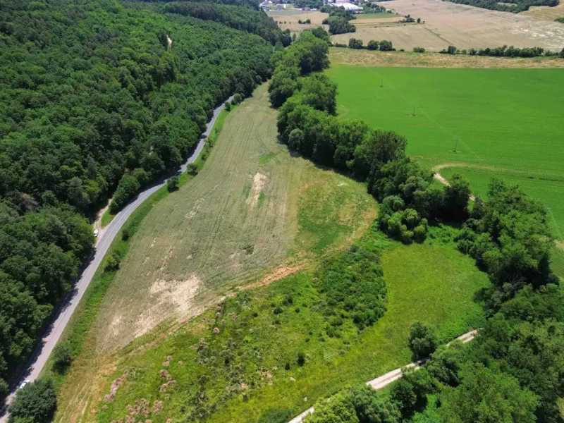 Meadows and forests near Žitná - Radiša, agricultural and forest land, a road running along the forest.