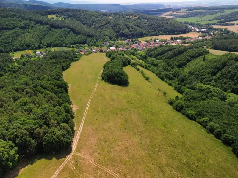 The landscape in the agricultural and forest lands of Žitná - Radiša with meadows and dense forests.