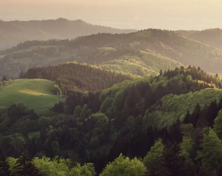Green hills and forests at sunset around Koňuš, agricultural and forest lands.