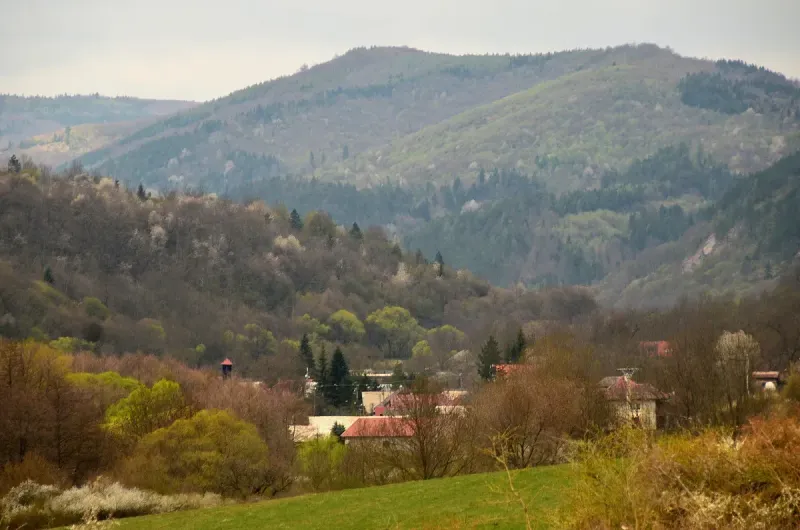 Panorama of forest lands near Horný Tisovník with gentle hills and trees.
