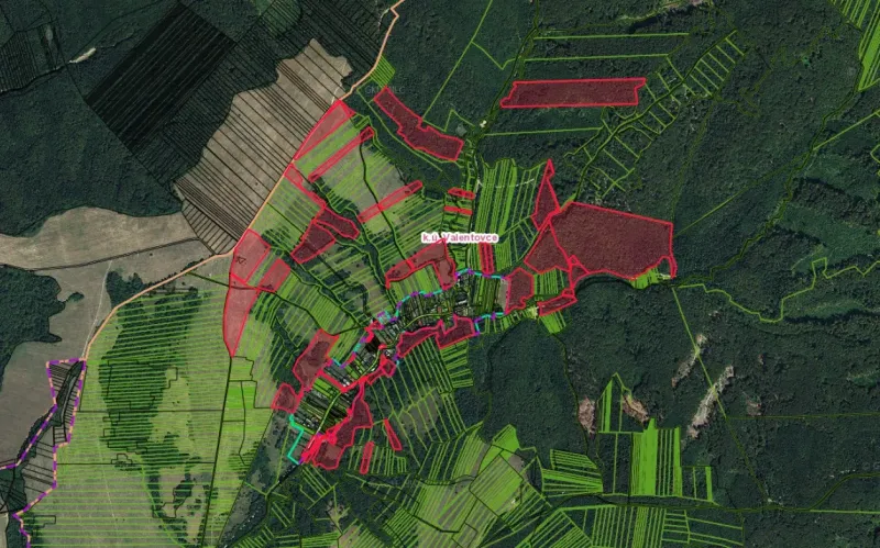 Aerial view of agricultural and forest lands around Valentovce with detailed parcel division.
