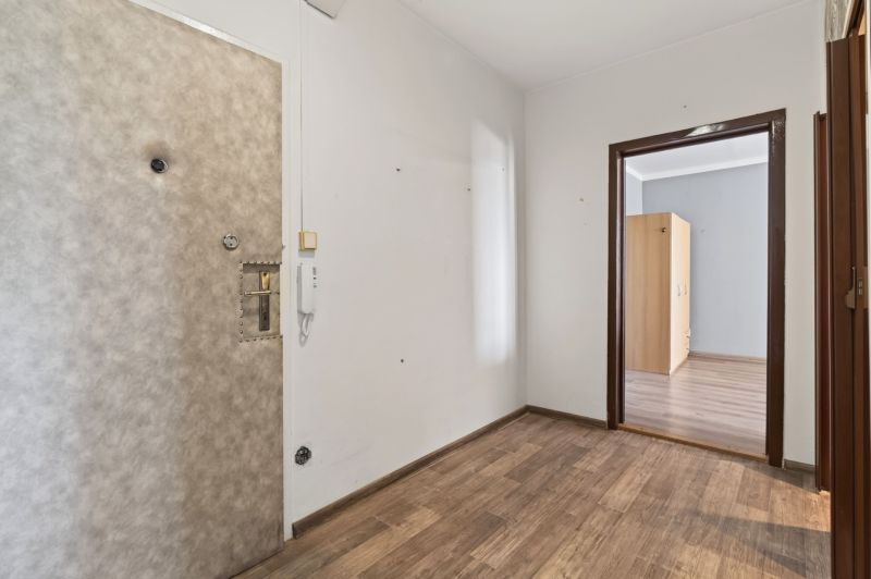 Entrance hallway, 1-bedroom apartment, wooden decor flooring, simple doors, white walls.