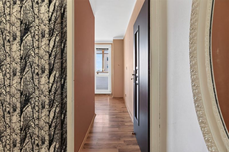 A hallway in a one-room apartment with a wooden decor floor and a striking wallpaper.