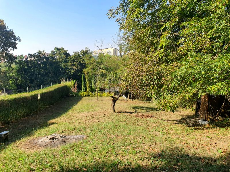 Garden with lawn and trees in Košice on 1st May Street, Krásna.