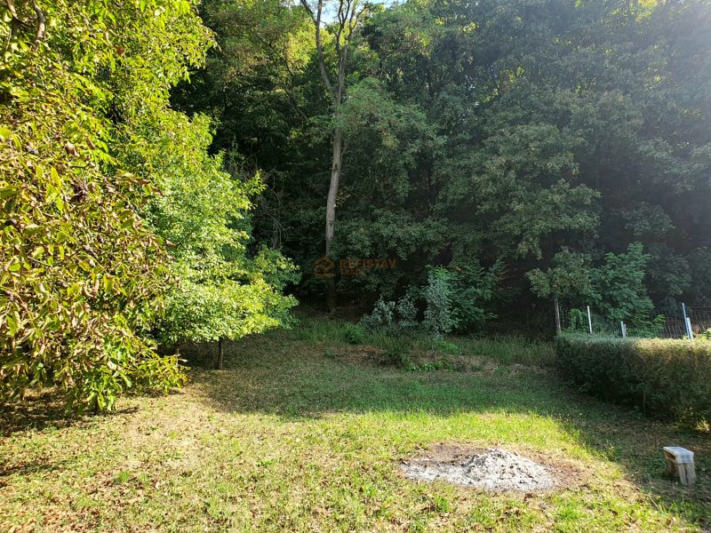 The garden on 1st May Street in Košice - Krásna district offers greenery and trees.