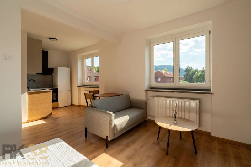 A bright interior of a one-room apartment with a sofa and a kitchen, wooden decor flooring.