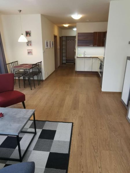 Living room with a kitchenette and wooden decor flooring in a family house.