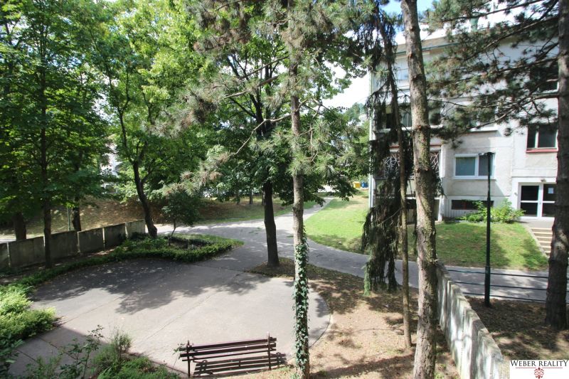 Green park area in front of a 2-room apartment on Talichova Street in Bratislava - Dúbravka.