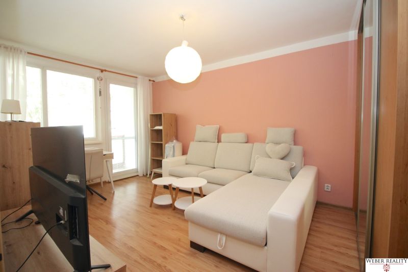 Living room with a sofa, television, and wooden decor flooring in a 2-room apartment.