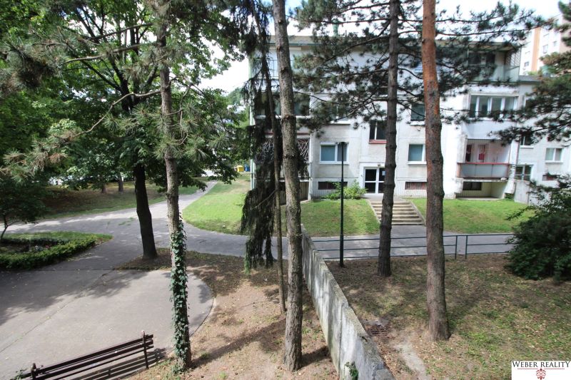 Trees and greenery in front of the apartment building on Talichova in Bratislava - Dúbravka.