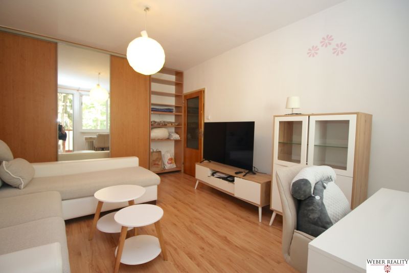 Living room in a 2-room apartment with a sofa, TV, and wooden decor flooring.