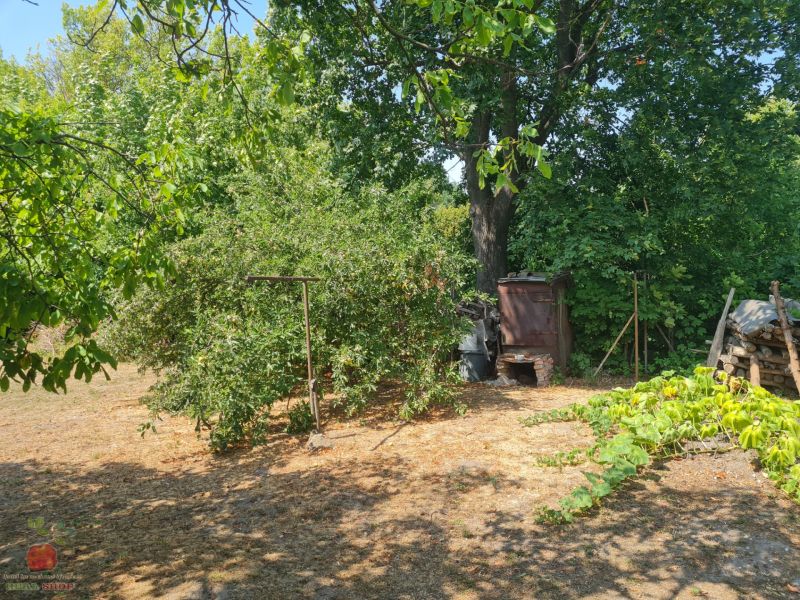 A family house in Komjatice with fruit trees and a wooden shelter on the property.