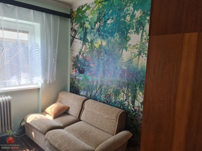 Living room with a sofa and a nature-themed photo wallpaper in a family house.