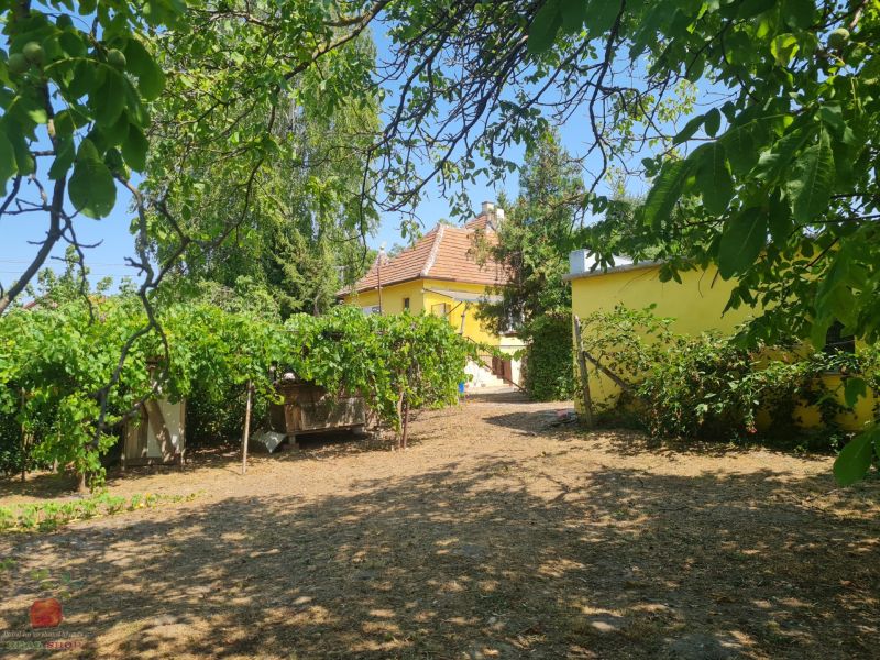 The garden of the family house in Komjatice surrounded by lush greenery and vineyards.
