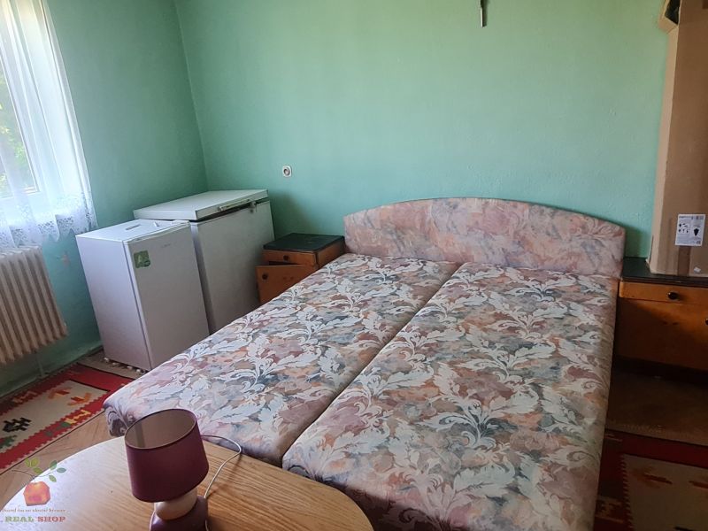 A room in a family house with a bed, a refrigerator, green walls, and a carpet.