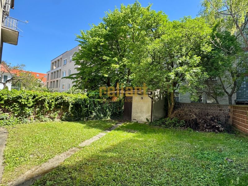 Garden in the Old Town of Bratislava on Krátka Street with a lawn and trees near a family house.