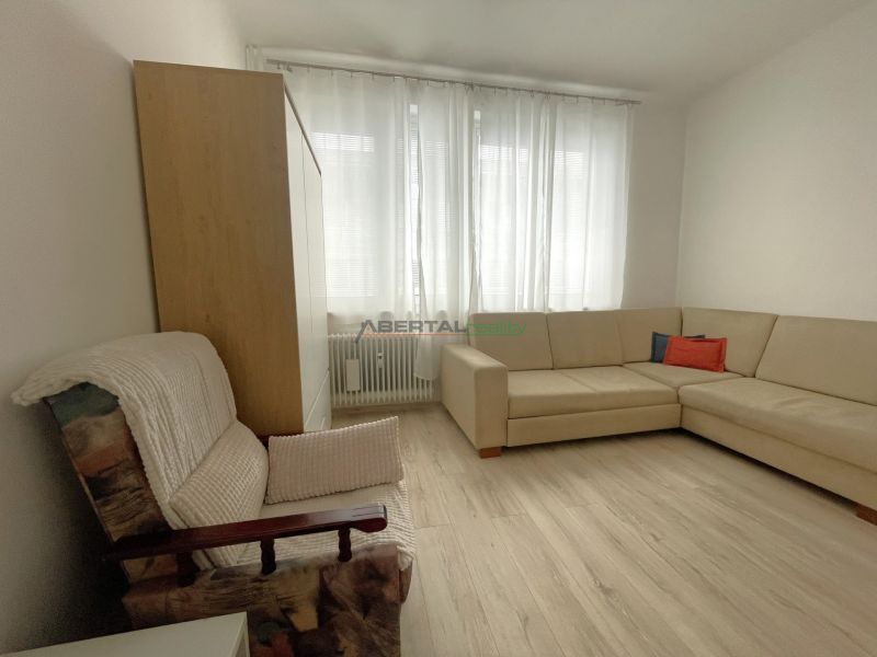 Bright living room in a three-room apartment with a sofa and an armchair, wooden decor flooring.