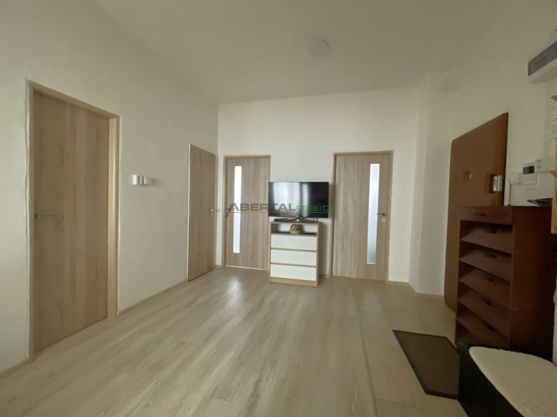 Interior of a 3-room apartment with wood-patterned flooring, a television, and wooden doors.