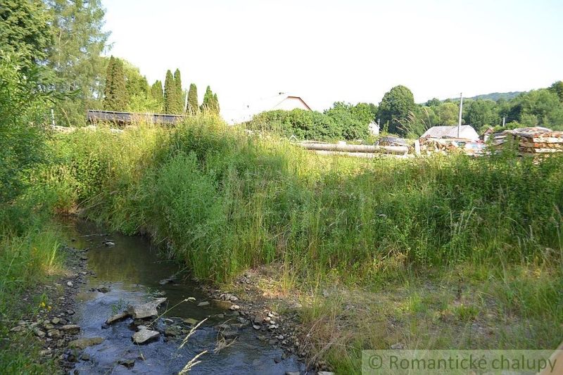 A stream lined with lush greenery near a family house in Varadka on a sunny summer day.