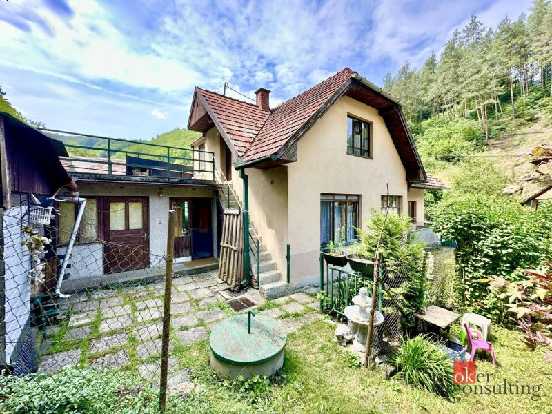 A family house in Žiar nad Hronom with two floors, surrounded by greenery and forest.