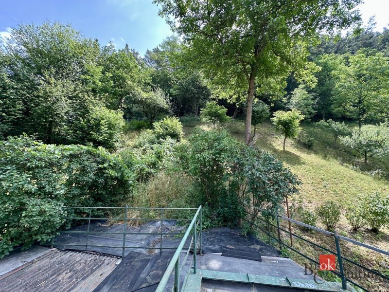 The garden of a family house in Žiar nad Hronom surrounded by dense greenery and trees.