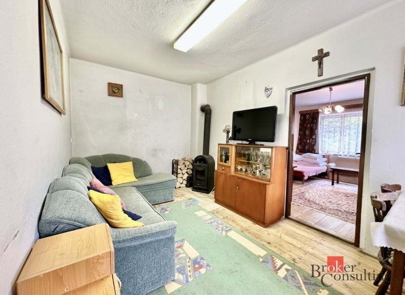 Living room in a family house with a comfortable sofa, television, and stove.